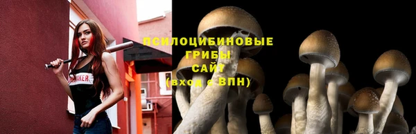 спайс Зеленокумск