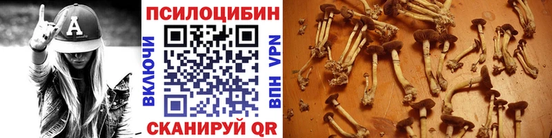 Галлюциногенные грибы прущие грибы  Купить где  Венёв 